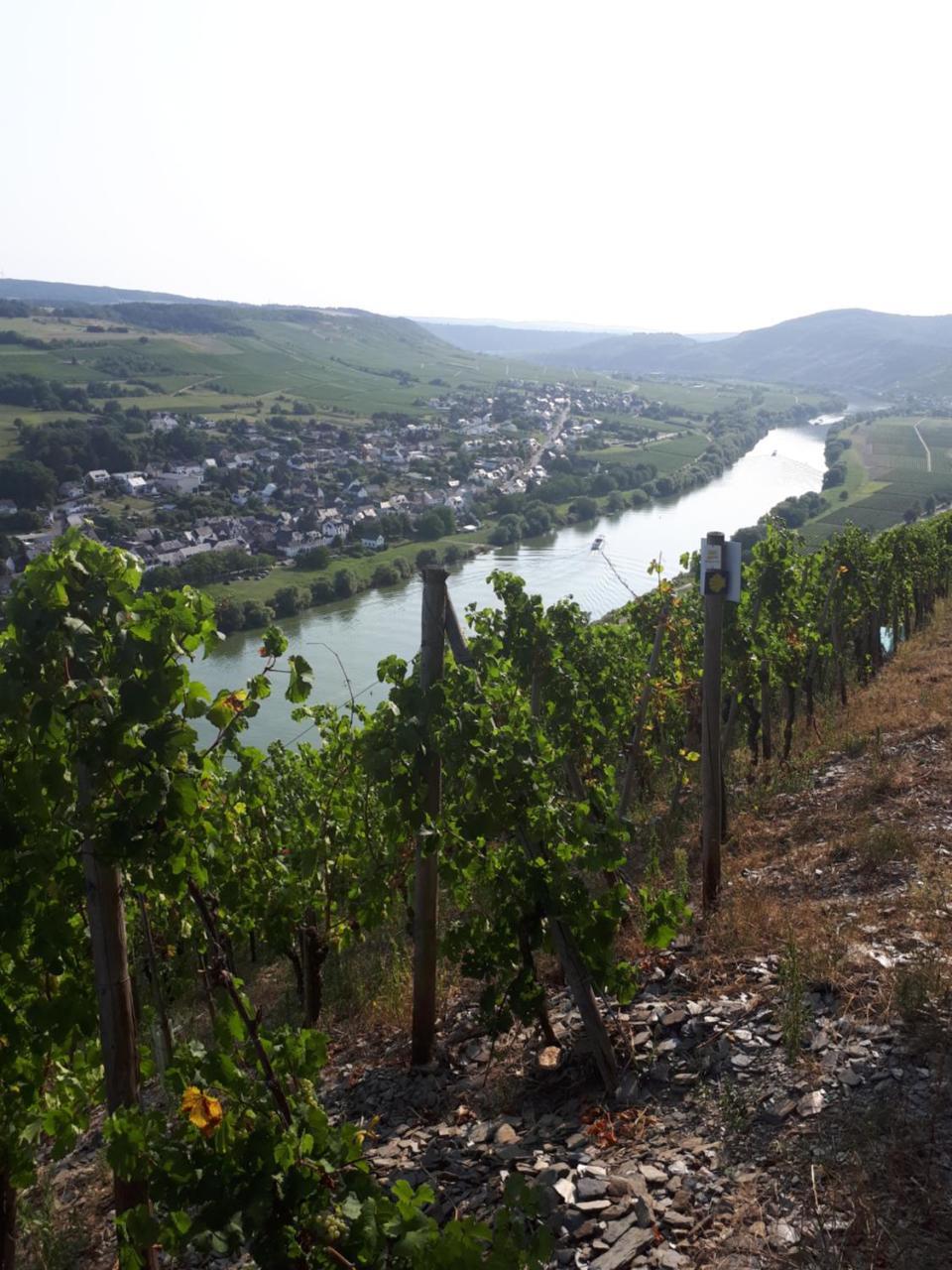 Gaestehaus Jufferpanorama Браунеберг Екстериор снимка