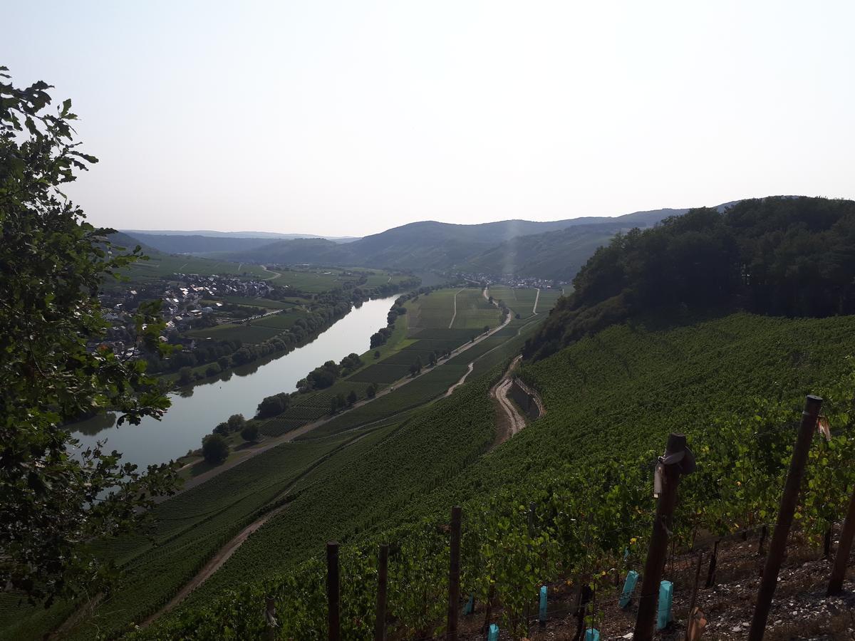 Gaestehaus Jufferpanorama Браунеберг Екстериор снимка